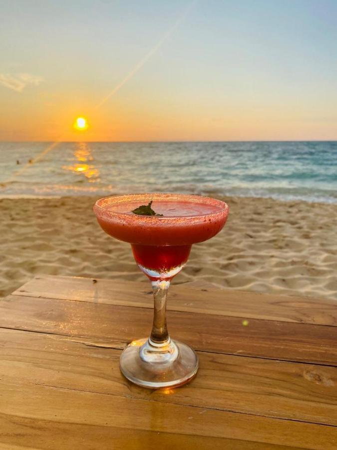 Venido Del Mar Beach Isla Barú Eksteriør bilde
